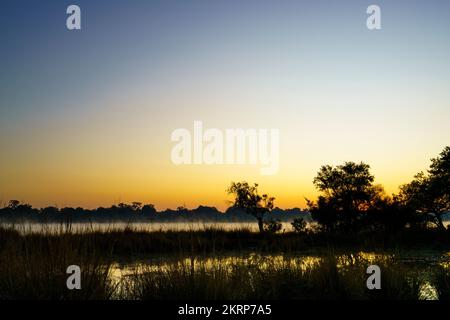 Alba africana sopra il fiume Zambesi. Victoria Falls National Park, Victoria Falls, Zimbabwe Foto Stock