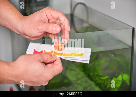 Mani che tengono alto nitrito o ammoniaca prova davanti all'acquario di acqua dolce. Foto Stock