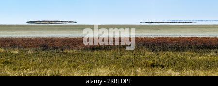 Il miraggio di Fata morgana assomiglia a UFO sopra il deserto. Etosha, Namibia. Foto Stock