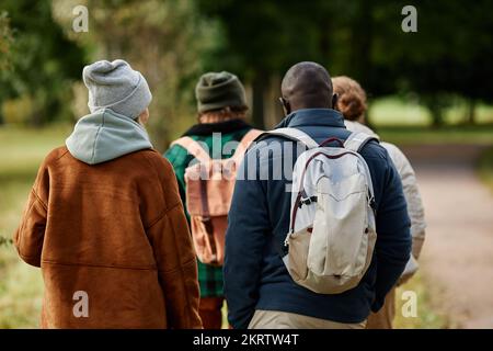 Vista posteriore di due coppie che si godono a piedi nella bella foresta autunnale Foto Stock