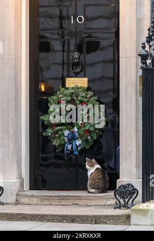 Londra, Regno Unito. 29th Nov 2022. Larry il gatto di Downing Steet a 10 Downing Street Londra. Credit: Ian Davidson/Alamy Live News Foto Stock