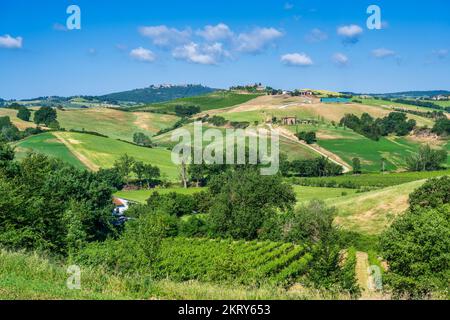 Ammira i vigneti e la campagna fino alla lontana città collinare di Montepulciano, in Toscana, Italia Foto Stock