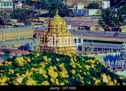 11 23 2022 gopuram dorato, Sanctum Sanctorum, Tempio di Sri Venkateswara Swamy Vaari, Tirumala, Tirupati, Chittoor, Andhra Pradesh, India, Asia Foto Stock