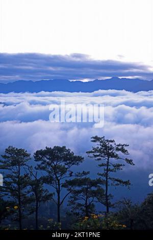 Una fitta coperta di nebbia scorre sulla Cordillera Central o Cordillera Mountain Range situato nella parte nord-centrale dell'isola di Luzon nelle Filippine. Foto Stock