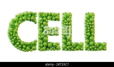 Parola di cellula fatta da font di molecola di cellula di batteri verdi. Salute e benessere. Rendering 3D Foto Stock