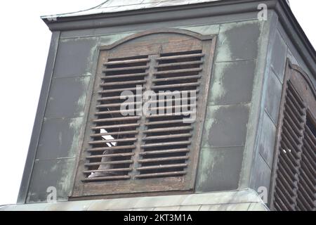 Petrovaradin, Serbia - Febbraio 17. 2013: Novi Sad, orologio alla Fortezza Petrovaradin. Foto Stock