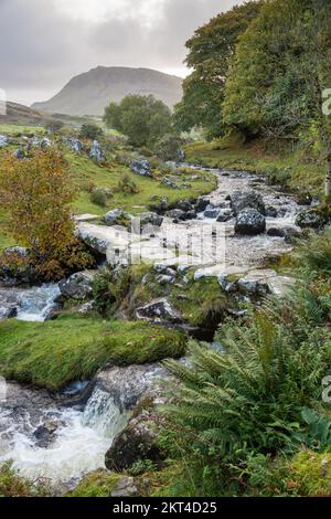 Un bel ruscello proveniente dai laghi di Cregennan sostenuto dalla cima di Bryn Brith, Snowdonia National Park, Gwynedd, Galles del Nord Foto Stock