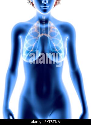 Anatomia umana, problemi al sistema respiratorio, polmoni gravemente danneggiati. Donna silhouette Foto Stock
