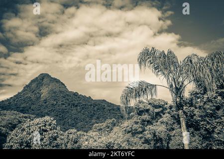 Vecchia foto in bianco e nero della montagna di Abraao Pico do Papagaio con nuvole su Ilha Grande Angra dos Reis Rio de Janeiro Brasile. Foto Stock