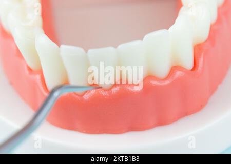Denti falsi, ganasce. Strumenti odontoiatrici e concetto di controllo igienista dentale i controlli regolari sono essenziali per la salute orale. Attrezzi ortodontici, rinforzo, Foto Stock