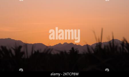 tramonto del deserto Foto Stock