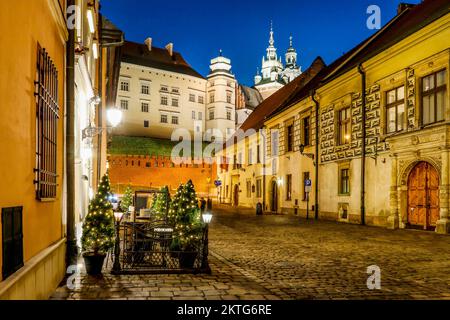 Centro della città di notte: Antichi edifici, via Kanonicza, Cracovia, Polonia Foto Stock