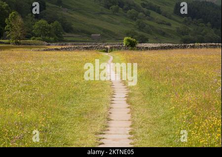 Percorso attraverso prati fioriti vicino Muker a Swaledale, Yorkshire Dales, Regno Unito Foto Stock