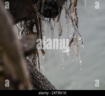 Srinagar, India. 29th Set, 2022. GANDERBAL, INDIA - 29 NOVEMBRE: Le ciclicelle sono viste su un tubo dell'acqua, a Shallabugh il 29 novembre 2022 a Ganderbal, India. Le condizioni di freddo intenso prevalgono in Srinagar che registra la notte più fredda della stagione a meno 2,2°C il martedì. (Foto di Waseem Andrabi/Hindustan Times/Sipa USA) Credit: Sipa USA/Alamy Live News Foto Stock