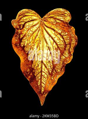 Foglia d'oro sfondo nero isolato primo piano, foglie di metallo d'oro, fogliame giallo, decorativo floreale ramo petalo illustrazione bello vintage design Foto Stock