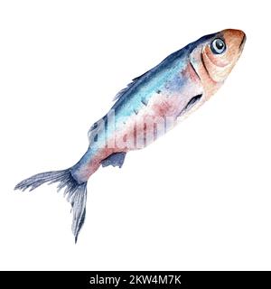 Illustrazione ad acquerello singola sardina isolata su sfondo bianco. Pesce fresco dell'Atlantico disegnato a mano. Elemento di design per confezione, etichetta, menu, mercato, Foto Stock