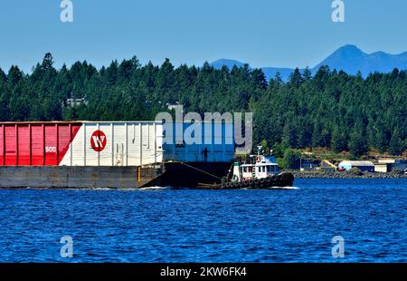 Un rimorchiatore che tira una chiatta vuota del chip fuori dal porto di Nanaimo Foto Stock