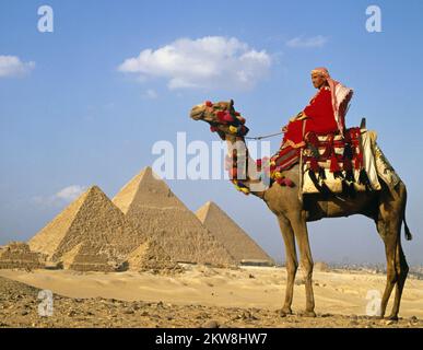 Cammello e piramidi, Egitto, Giza, Cairo Foto Stock