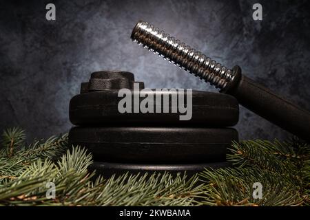 Piatti di peso di barbell dumbbell e rami dell'albero di Natale. Fitness stagione estiva composizione invernale. Ginnastica in palestra e concetto di allenamento sportivo. Foto Stock