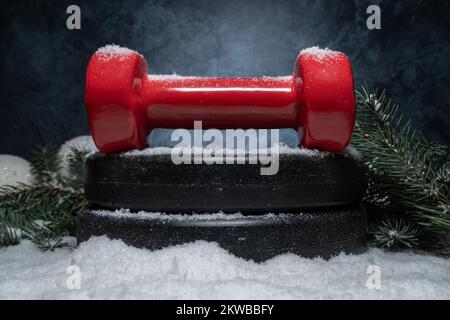 Manubri rossi su piatti di peso di Barbell, rami di albero di Natale sulla neve. Fitness stagione estiva composizione invernale. Palestra allenamento sport concetto di allenamento. Foto Stock