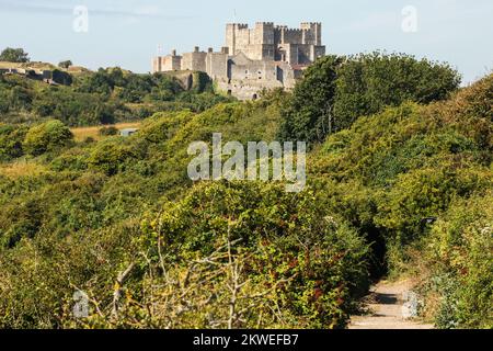 Castello di dover,castello,on,collina,sopra,dover,città,Kent,scogliere bianche,scogliere bianche di dover,con vista,Porto di dover,Kent,Inghilterra,inglese,costa,Kent,GB,Gran Bretagna,Gran Bretagna,britannica,Regno Unito,Europa,europea,agosto,estate, Foto Stock