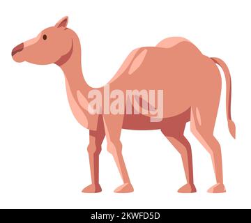 Cammello in piedi animale arabo da africano medio est carino disegno illustrazione stile cartone animato Illustrazione Vettoriale
