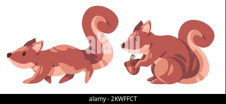 Scoiattolo grande coda in piedi che mantiene il cibo posa in marrone illustrazione di colore Illustrazione Vettoriale