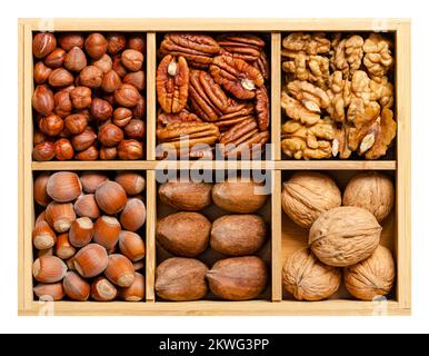 Nocciole, noci pecan e noci, in una scatola di legno con scomparti. Tre diversi tipi di noci, sgusciate e nei loro gusci, decorative assortite. Foto Stock