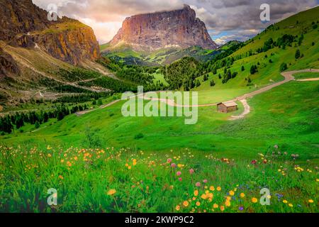 Langkofel, Sassolungo pinnacoli, Dolomiti sudtirolo vicino Cortina d'Ampezzo Foto Stock