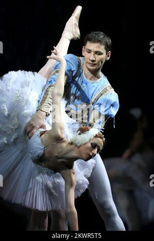 30.01.2014., Osijek, Croazia - il Balletto Imperiale Russo è dovuto alla sua eleganza e raffinatezza ed è rimasto uno dei simboli più importanti della Russia. Oggi, il Balletto Mariinsky è ampiamente riconosciuto come una delle più importanti società di balletti del mondo. L'ensemble è stato formato dai più grandi ballerini del mondo di tutti i tempi: May Plisetzkaja. A Osijek era venuto con la sua rappresentazione fenomenale del lago di Swan, dove come solisti si esibiscono Seveliova Lina e Nariman Bekzhanov. Foto: Davor Javorovic/PIXSELL Foto Stock