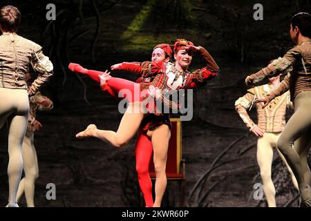 30.01.2014., Osijek, Croazia - il Balletto Imperiale Russo è dovuto alla sua eleganza e raffinatezza ed è rimasto uno dei simboli più importanti della Russia. Oggi, il Balletto Mariinsky è ampiamente riconosciuto come una delle più importanti società di balletti del mondo. L'ensemble è stato formato dai più grandi ballerini del mondo di tutti i tempi: May Plisetzkaja. A Osijek era venuto con la sua rappresentazione fenomenale del lago di Swan, dove come solisti si esibiscono Seveliova Lina e Nariman Bekzhanov. Foto: Davor Javorovic/PIXSELL Foto Stock