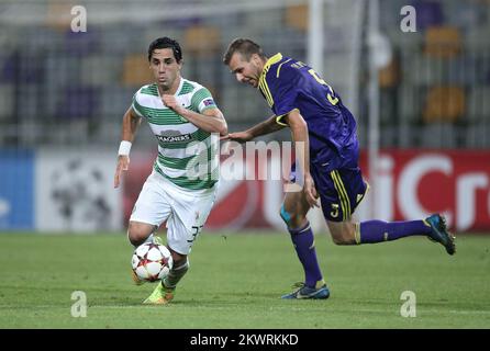 Beram Kayal e Zeljko Filipovic combattono per la palla Foto Stock