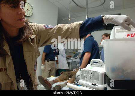 Hurricane Wilma, Belle Glade, FL, 26 ottobre 2005 Un membro del FEMA Disaster Medical Assistance Team, Oklahoma One, dispone di un ago mentre altri assistono il personale del Glades General Hospital tendono a un paziente nel pronto soccorso. L'uragano Wilma, il quinto grande uragano della stagione, è venuto attraverso questa zona. Fotografie relative a disastri e programmi, attività e funzionari di gestione delle emergenze Foto Stock