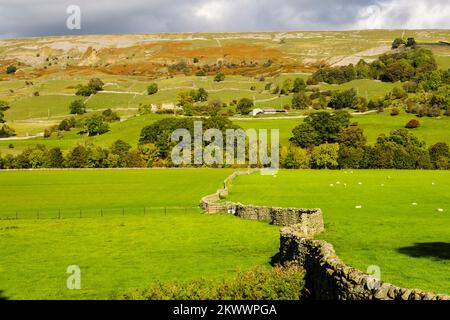 Campagna inglese sotto una scarpata nello Yorkshire Dales National Park. Reeth, Swaledale, North Yorkshire, Inghilterra, Regno Unito, Regno Unito Foto Stock