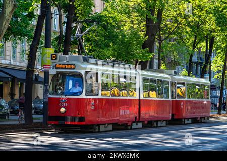 Il tram di Vienna, chiamato anche strassenbahn, un vecchio e tradizionale moderno, passa sulla famosa ringstrasse nel viale Operring nel centro della città. Foto Stock