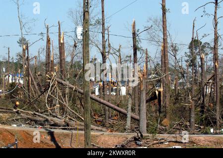 Gravi tempeste e tornado, Americus, GA, 8 marzo 2007 le cime dei pini sono state strappate come ramoscelli dai tornado della Georgia. I tornado hanno causato gravi danni in Georgia. Mark Wolfe/FEMA.. Fotografie relative a disastri e programmi, attività e funzionari di gestione delle emergenze Foto Stock