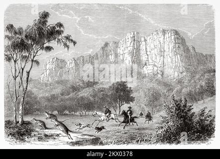 Caccia ai canguri negli stati australiani di Victoria, Australia. Souvenir di una squadra francese in Australia di H. de Castella 1854-1856 Foto Stock