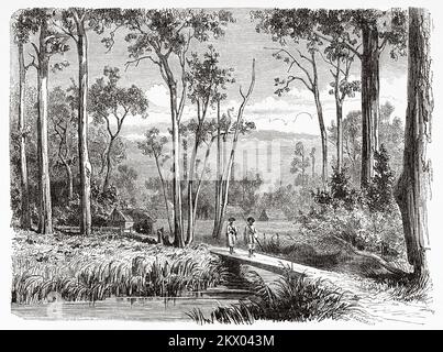 Vecchia vista della stazione di Dalry, Stati australiani di Victoria, Australia. Souvenir di una squadra francese in Australia di H. de Castella 1854-1856 Foto Stock