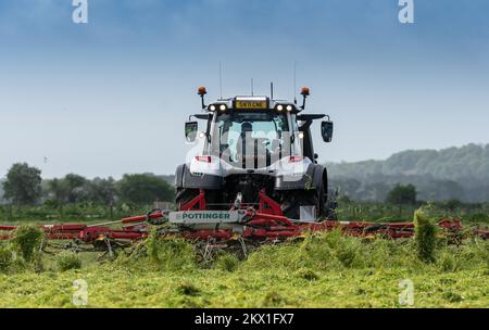 Il fornitore guida un trattore Valtra e sparge erba in un campo insilato con un tagliatappe Pottinger. Dumfries, Regno Unito. Foto Stock