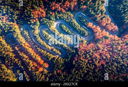 Passo di Bratocea, Romania. Strada tortuosa in scenario di foresta autunnale, paesaggio di montagna, Carpazi Montagne. Foto Stock