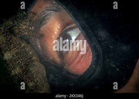 Subacquea femminile faccia a faccia guardando un cavalluccio marino proprio di fronte alla sua maschera Foto Stock