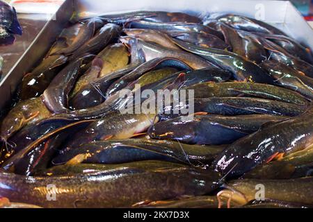 Mercato del pesce tailandese. Pesce gatto fresco Foto Stock