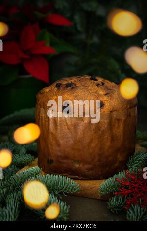 Cupcake di Natale tra rami di abete verde sul tavolo festivo, Poinsettia fiore luci sfocate, buon Natale e felice anno nuovo Foto Stock