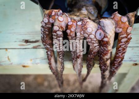 05.08.2018., Zagabria, Croazia - il polipo è un molluschi dal corpo molle, a otto limbate dell'ordine Octopoda. Circa 300 specie sono riconosciute e l'ordine è raggruppato all'interno della classe Cephalopoda con calamari, seppie e nautiloidi. Come altri cefalopodi, il polpo è bilateralmente simmetrico con due occhi e un becco, con la bocca al centro degli otto arti (tradizionalmente chiamati 'braccia', talvolta erroneamente chiamati 'tentacoli'). Il corpo morbido può rapidamente modificare la sua forma, consentendo ai polpi di schiacciarsi attraverso piccoli spazi. Seguono le loro otto appendici mentre nuotano. T Foto Stock