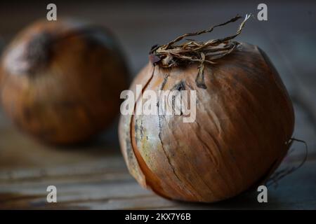 09.08.2018., Zagreb, Croazia - la cipolla , nota anche come cipolla bulbo o cipolla comune, è una specie vegetale che è la specie più coltivata del genere Allium. I suoi parenti stretti includono l'aglio, il porro, l'erba cipollina e la cipolla cinese. Foto: Sandra Simunovic/PIXSELL Foto Stock