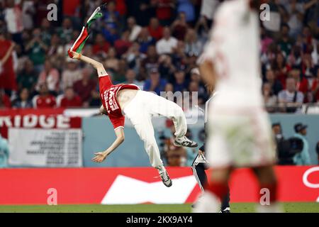 Doha, Qatar. 30th Nov 2022. DOHA - sostenitore sul campo durante la Coppa del mondo FIFA Qatar 2022 gruppo D incontro tra Tunisia e Francia al Education City Stadium il 30 novembre 2022 a Doha, Qatar. AP | Dutch Height | MAURICE OF STONE Credit: ANP/Alamy Live News Credit: ANP/Alamy Live News Foto Stock