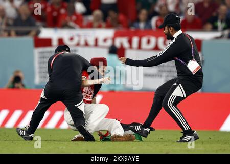 Doha, Qatar. 30th Nov 2022. DOHA - sostenitore sul campo durante la Coppa del mondo FIFA Qatar 2022 gruppo D incontro tra Tunisia e Francia al Education City Stadium il 30 novembre 2022 a Doha, Qatar. AP | Dutch Height | MAURICE OF STONE Credit: ANP/Alamy Live News Credit: ANP/Alamy Live News Foto Stock