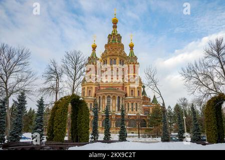 L'antica Cattedrale dei Santi Apostoli Pietro e Paolo in una giornata invernale. Peterhof, Russia Foto Stock
