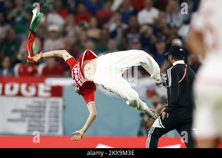 Doha, Qatar. 30th Nov 2022. DOHA - sostenitore sul campo durante la Coppa del mondo FIFA Qatar 2022 gruppo D incontro tra Tunisia e Francia al Education City Stadium il 30 novembre 2022 a Doha, Qatar. AP | Dutch Height | MAURICE OF STONE Credit: ANP/Alamy Live News Credit: ANP/Alamy Live News Foto Stock