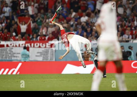 Doha, Qatar. 30th Nov 2022. DOHA - sostenitore sul campo durante la Coppa del mondo FIFA Qatar 2022 gruppo D incontro tra Tunisia e Francia al Education City Stadium il 30 novembre 2022 a Doha, Qatar. AP | Dutch Height | MAURICE OF STONE Credit: ANP/Alamy Live News Credit: ANP/Alamy Live News Foto Stock